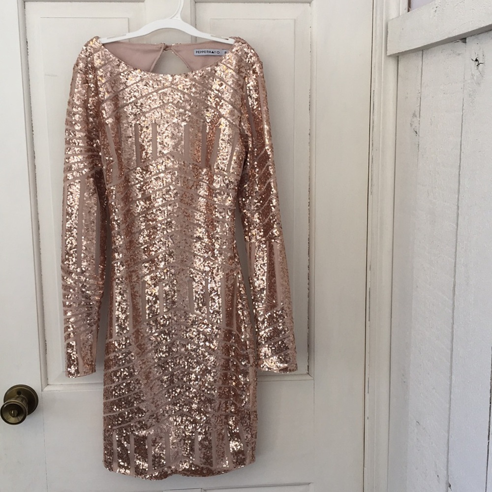 Blush - Rose Gold Sequin Bodycon Dress.